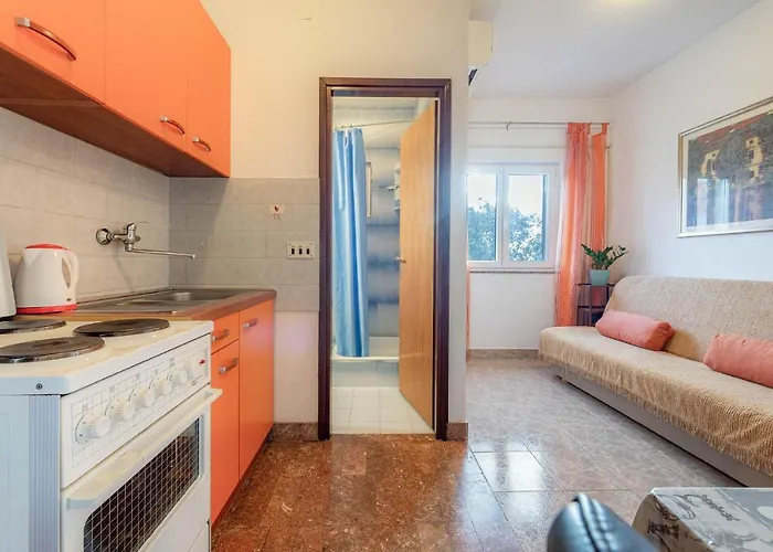 Lägenhet 1 Bedroom In Kožino