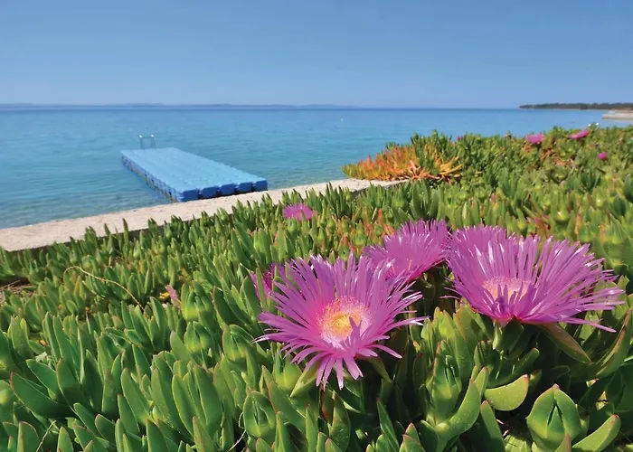 1 Bedroom In * Kožino